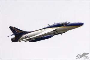 D71_9106